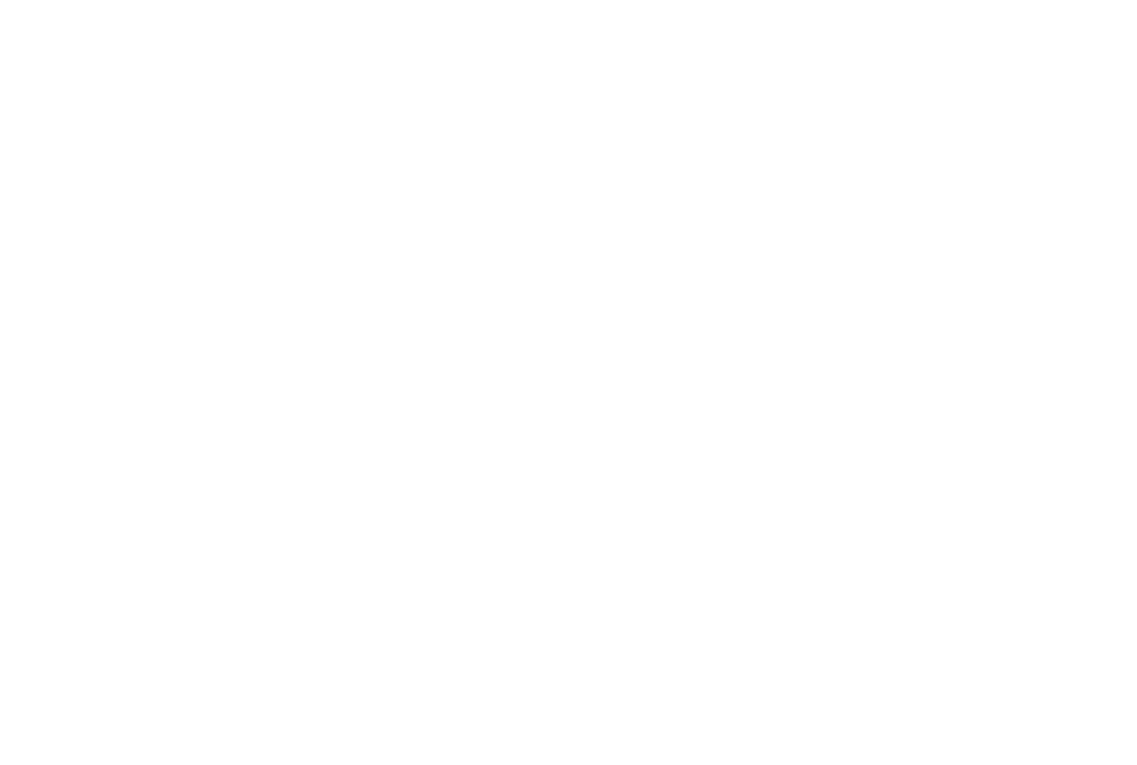 Secondary logo